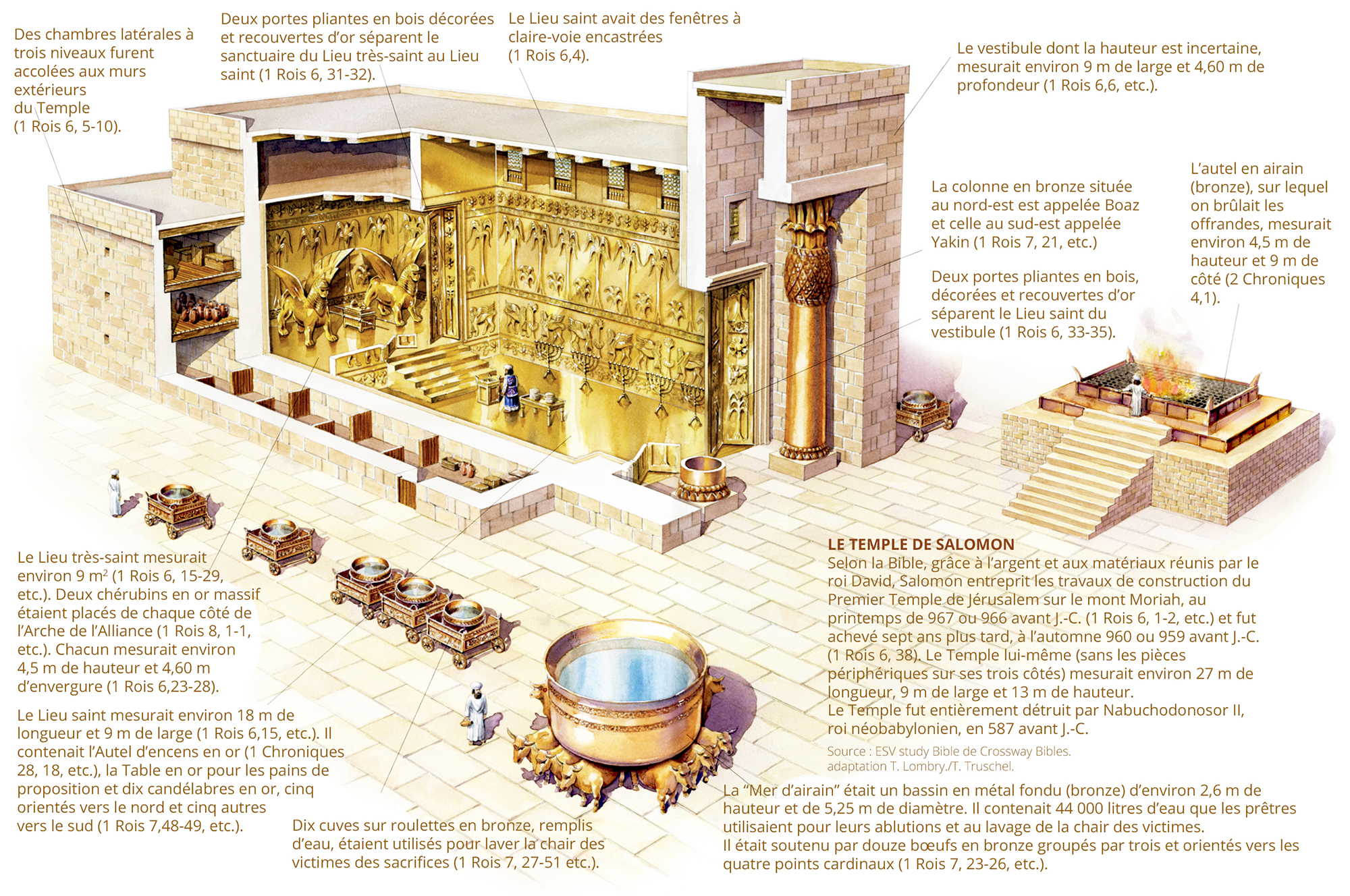 Galilée: Des mosaïques bibliques découvertes dans une synagogue du 5e  siècle - The Times of Israël